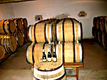  White Wine (France) (Vin Blanc (France))