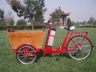  Electric Tricycle (Электрический трицикл)