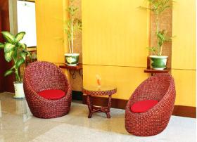  Water Hyacinth Oyster Chair (Водяной гиацинт Oyster Председатель)