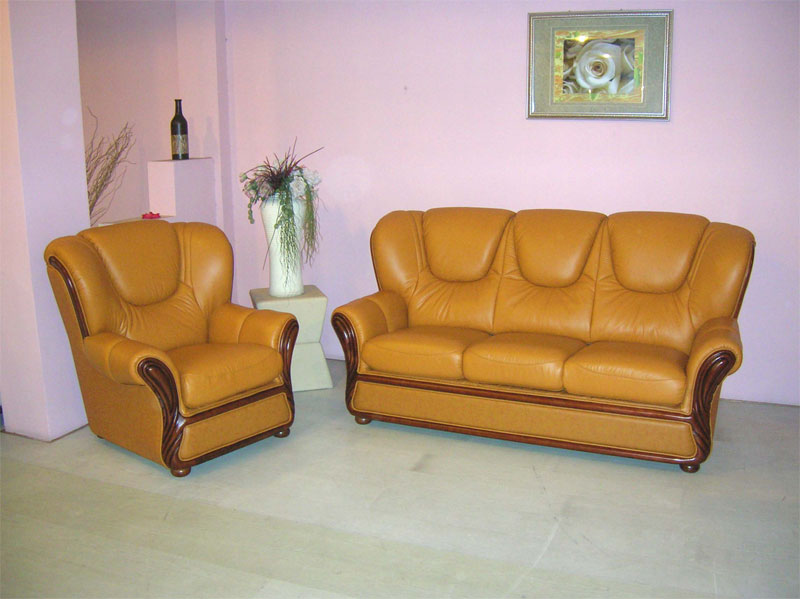  Leather Sofa (Canapé cuir)