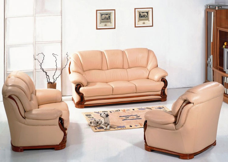  Leather Sofa (Leather Sofa)