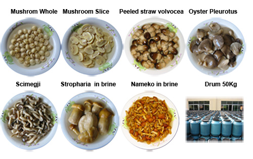  Mushroom In Brine ( Mushroom In Brine)