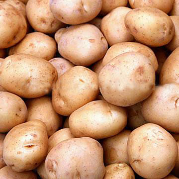  Potato (Pomme de terre)