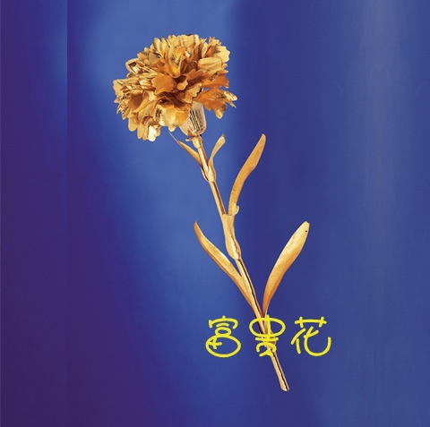  24k Gold Carnation Mother`s Day Best Gift (24-каратным золотом гвоздика Mother`s Day Лучший подарок)