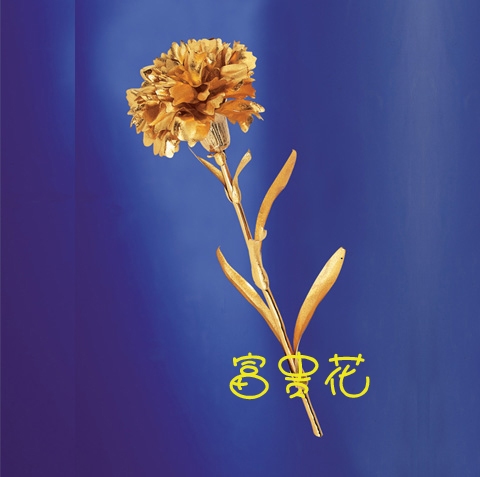  24k Gold Carnation Mother`s Day Best Gift