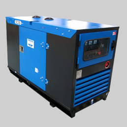  Diesel Generator (Diesel-Generator)