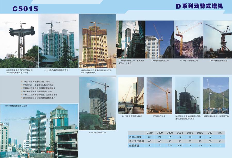  Tower Crane / Hoists (Tower Crane / Palans)