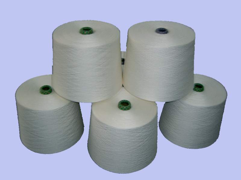 Viscose Spun Yarn (Viscose Spun Yarn)