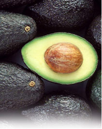  Avocado (Avocado)