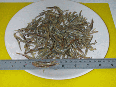  Dried Anchovies Fish Of Premium Grade (Getrocknete Sardellen Fish Of Premium Grade)