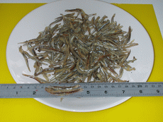  Dried Sprats (Getrocknete Sprotten)