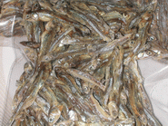  Dried Fish Anchovy-sprats (Getrockneter Fisch Sardellen-Sprotten)
