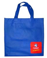 ing Non-woven PP Bag (ing Non-woven PP Bag)