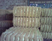 Coconut Fiber And Coconut Peat