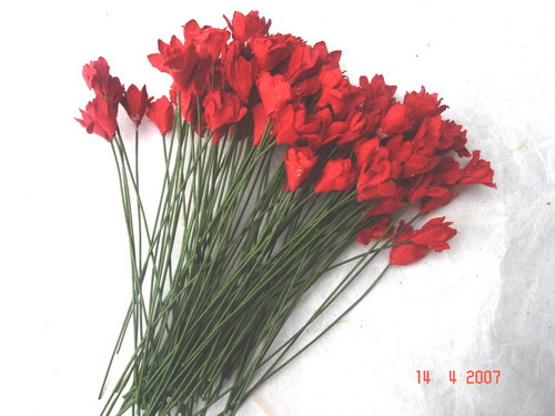  Paper Flower (Paper Flower)