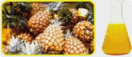  Pineapple Juice Concentrate (Concentré de jus d`ananas)