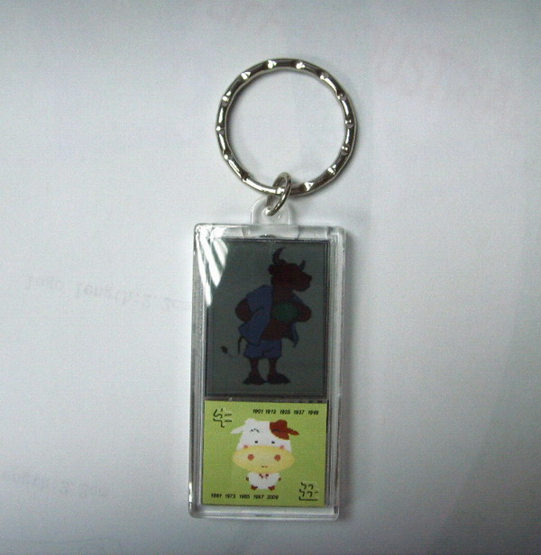 Solar Energy Key Chain (Solar Energy Key Chain)