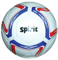  Training Ball (Trainingsball)