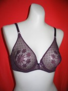  See-Through Bra (See-Through-BH)