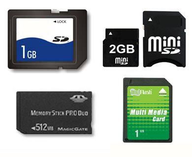  SD / MMC / Mini SD / MS Pro Duo Card