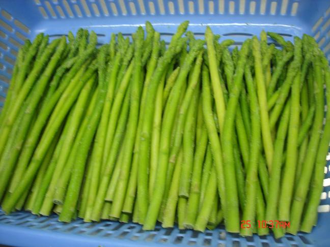  IQF Green Asparagus Spears ( IQF Green Asparagus Spears)