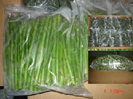  IQF Green Asparagus Spears (IQF asperges vertes Spears)