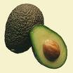  Avocado Hass (Avocat Hass)
