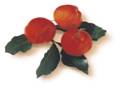  Acerola Puree