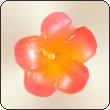  Scented Floating Candle Mini Frangipani ( Scented Floating Candle Mini Frangipani)