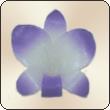  Scented Floating Candle Medium Orchid ( Scented Floating Candle Medium Orchid)