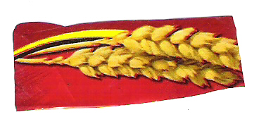  Groundnut, Corn, Deoiled Extraction (Arachide, maïs, déshuilée Extraction)