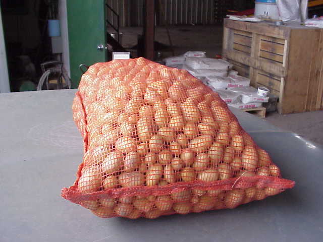  Seed Potato (Seed Potato)