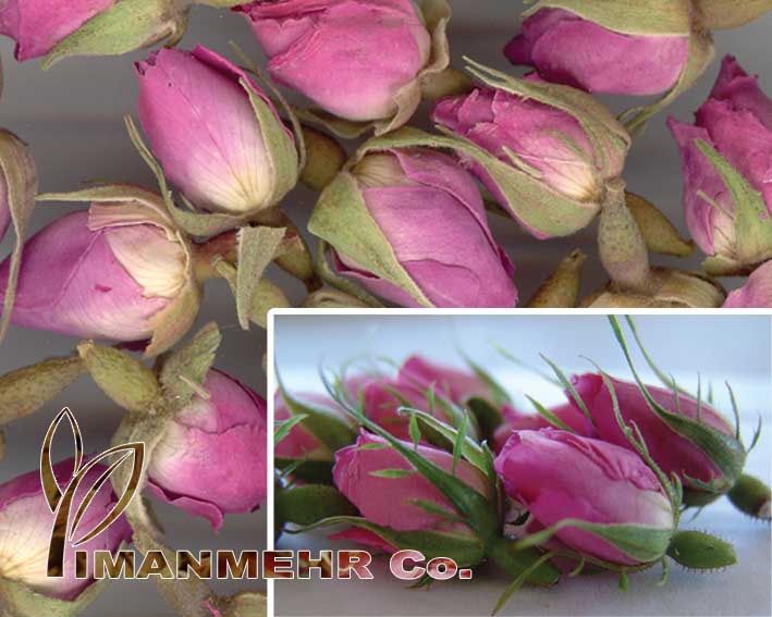  Dried Pink Rose Buds (Сушеные Розовые розы бруньках)