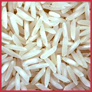  Rice (Rice)