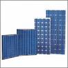  Solar Module / Panel, Mono And Multi Crystalline