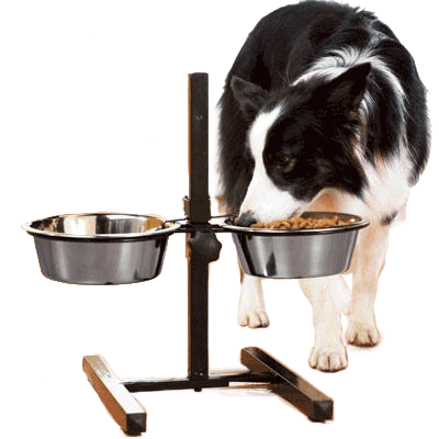  Adjustable Dog Feeding Water Bowls