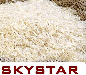  Basmati Rice (Basmati Reis)