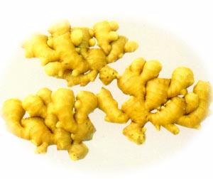  Fresh Ginger / Dried Ginger (Gingembre frais / gingembre sch)