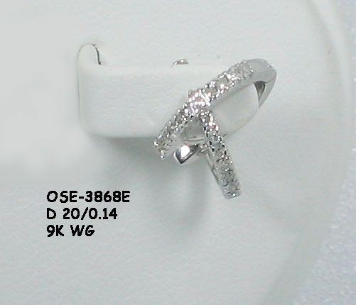  9k Wg Earring (9k Wg Earring)