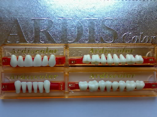  CE Certified Acrylic Teeth (CE Certified акриловые зубы)