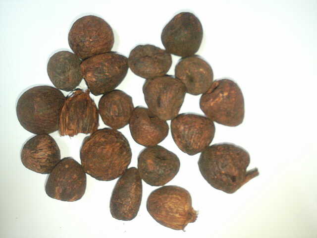  Betel Nut B2 Grade (Бетель класса В2)