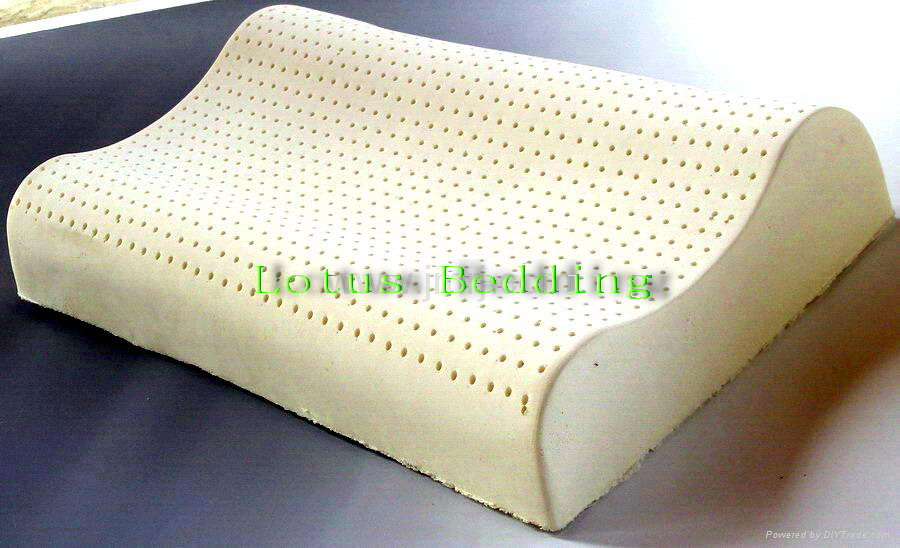  Latex Foam Contour Pillow Gl101 (Latex Foam Contour Pillow Gl101)