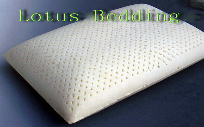  Latex Foam Pillow Pl201 (Latex Foam Pillow PL201)