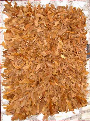  Leather Rug (Leder Teppich)