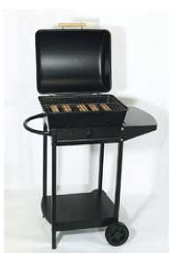  1 Burner BBQ Gas Grill