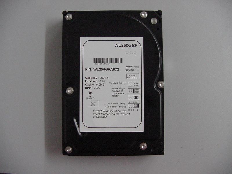  Western Digital 250gb IDE Hard Disk