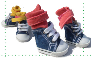  Jean Dog Shoes