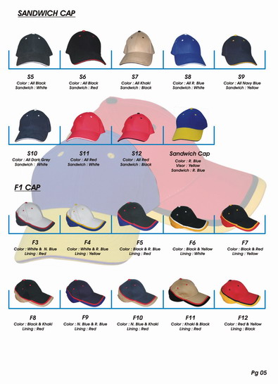  Advertisement Cap (  Cap)