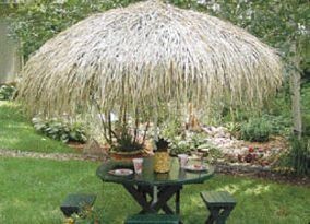  Palapas Thatch Palm Leaf Rain Cape (Palapas Thatch пальмовых листьях дождь Кабо)