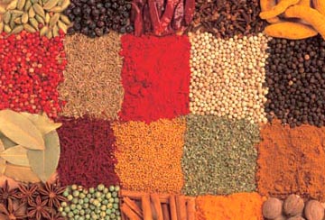  Spices And Seasonings (Épices et assaisonnements)
